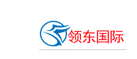 深圳市领东国际货运代理有限公司