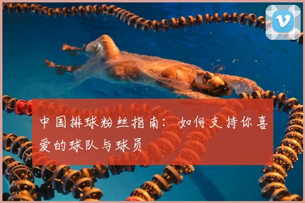 中国排球粉丝指南：如何支持你喜爱的球队与球员