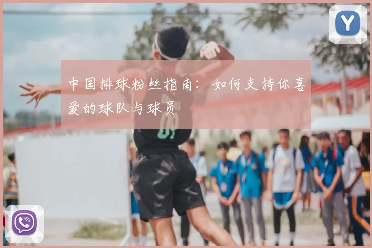 中国排球粉丝指南：如何支持你喜爱的球队与球员