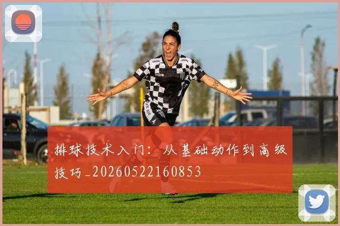 排球技术入门:从基础动作到高级技巧_20260522160853