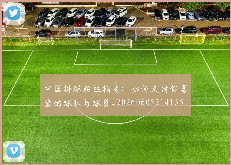 中国排球粉丝指南：如何支持你喜爱的球队与球员_20260605214155