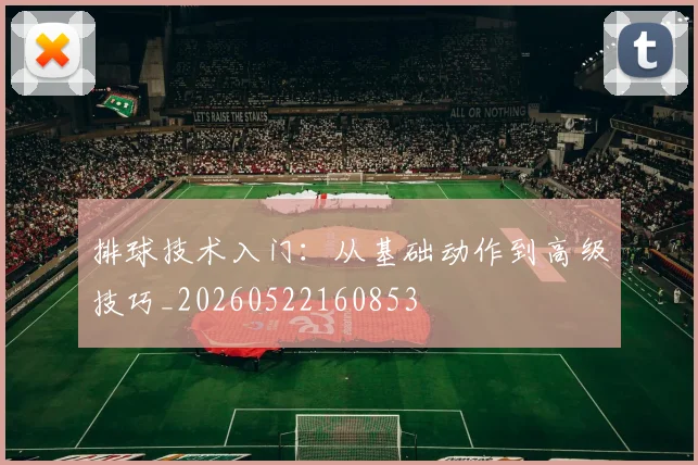 排球技术入门:从基础动作到高级技巧_20260522160853