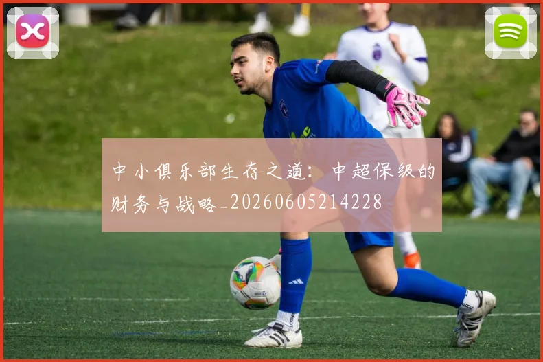 中小俱乐部生存之道:中超保级的财务与战略_20260605214228
